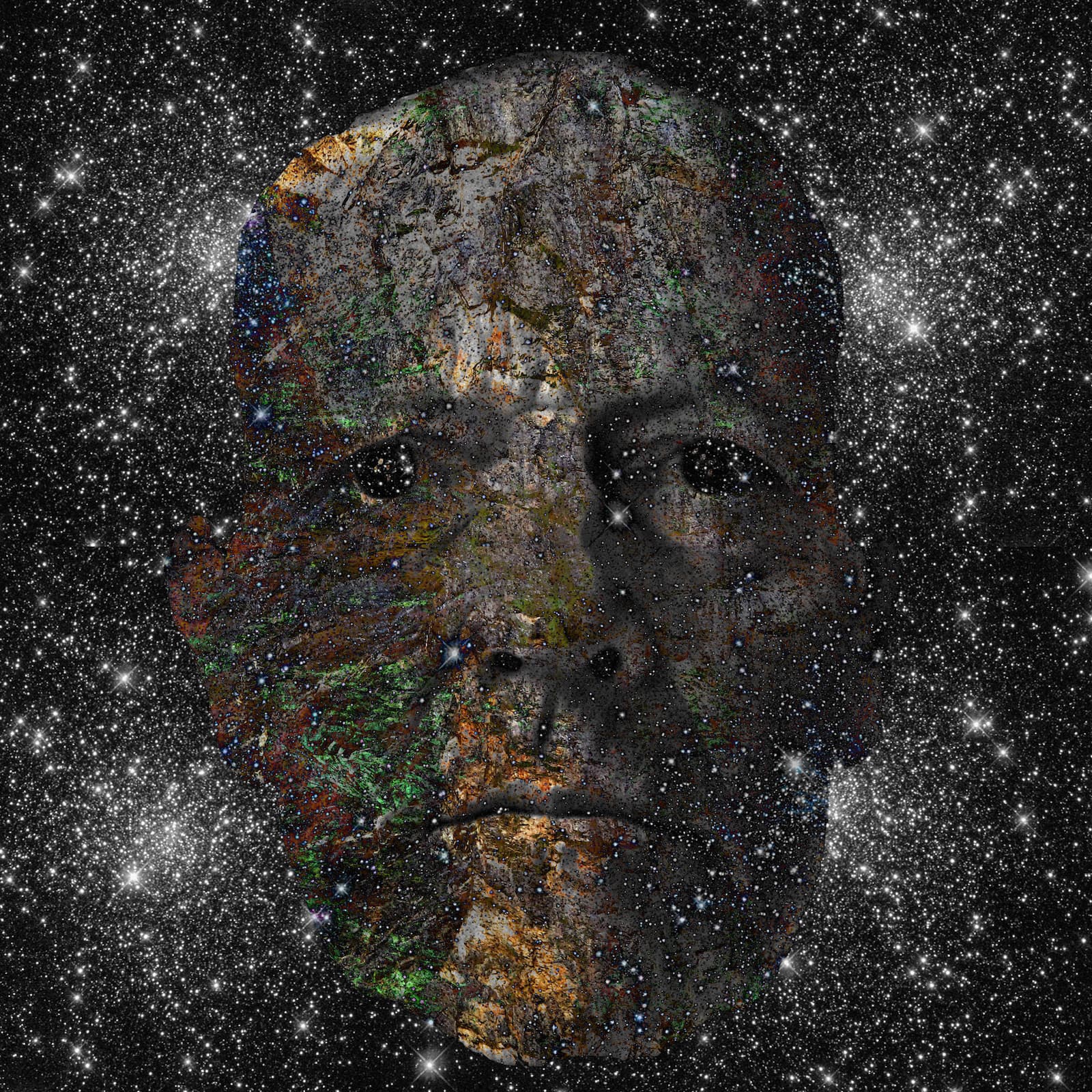 Awakened Universe, Peter Fraser