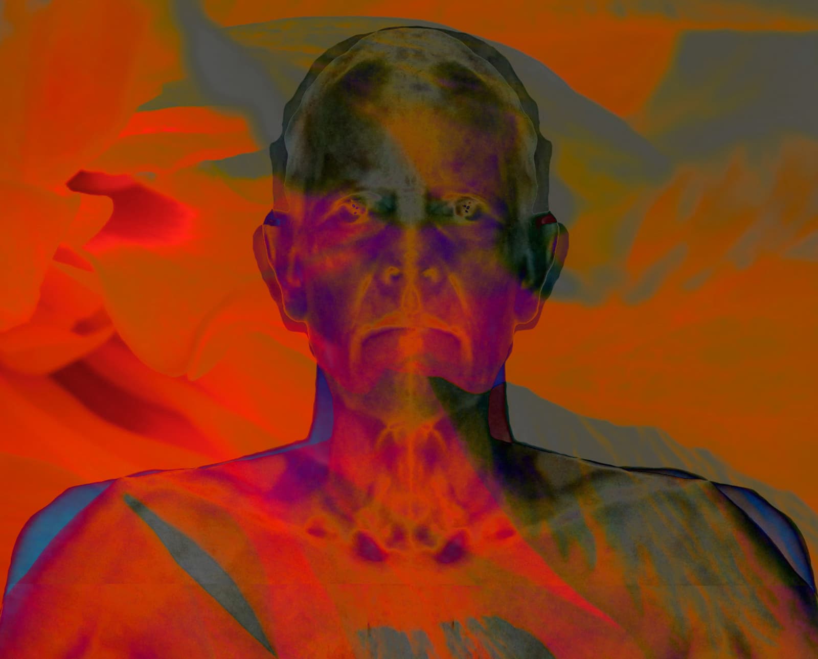 Hibiscus Moment, Peter Fraser