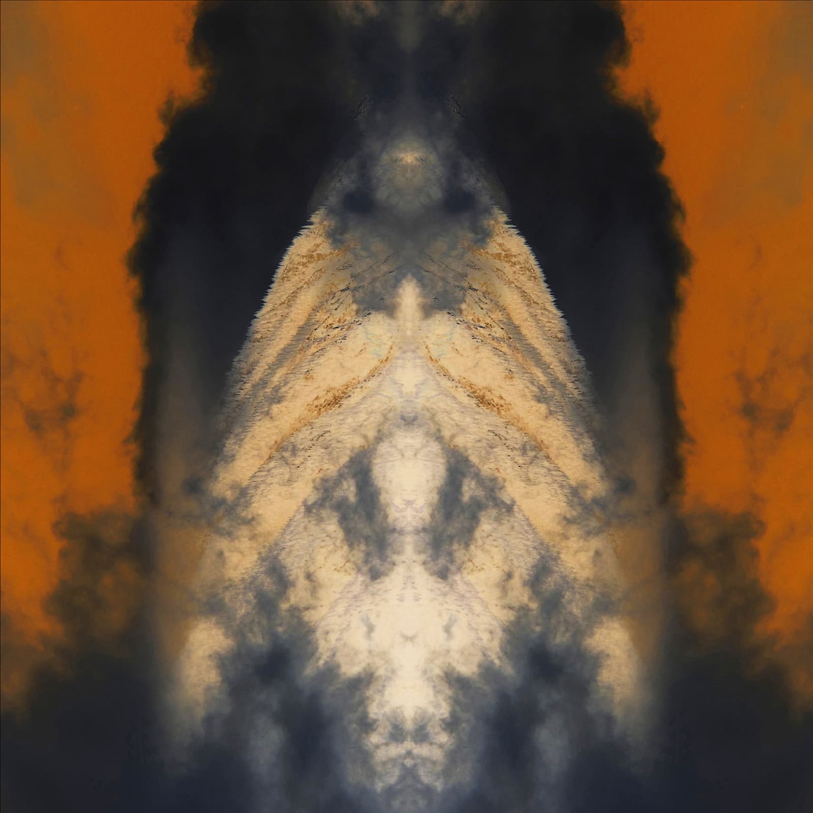 Mitochondrial Matriarch, Peter Fraser